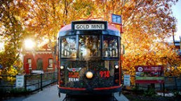 Tram - Capstone Collections